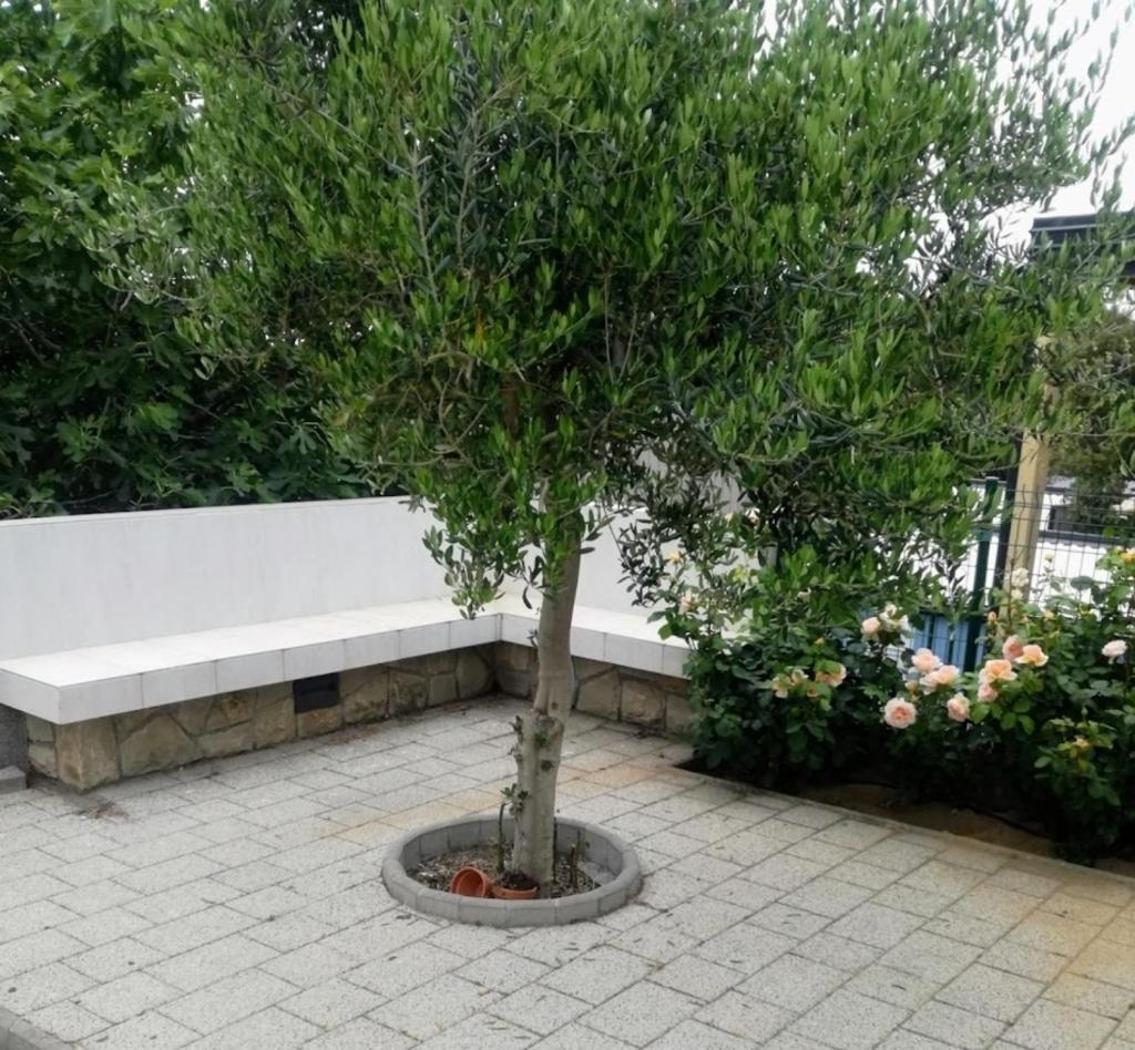 Apartments By The Sea Banjol, Rab - 12838 מראה חיצוני תמונה